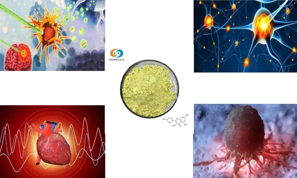 What is the Anti-inflammatory Activity of Kaempferol?